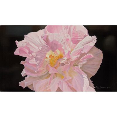 酔芙蓉