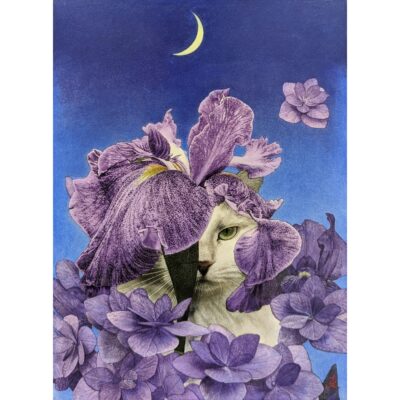展覧会 Web日動画廊