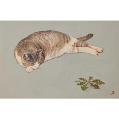 午睡