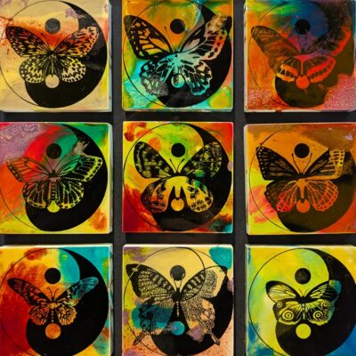 Yin Yang -陰陽の標本-