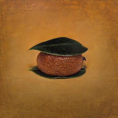 と或る最古の和菓子（椿餅：道明寺製）