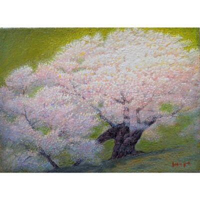 花酔い（臥龍桜）