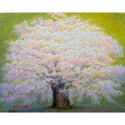 芳春（醍醐桜）