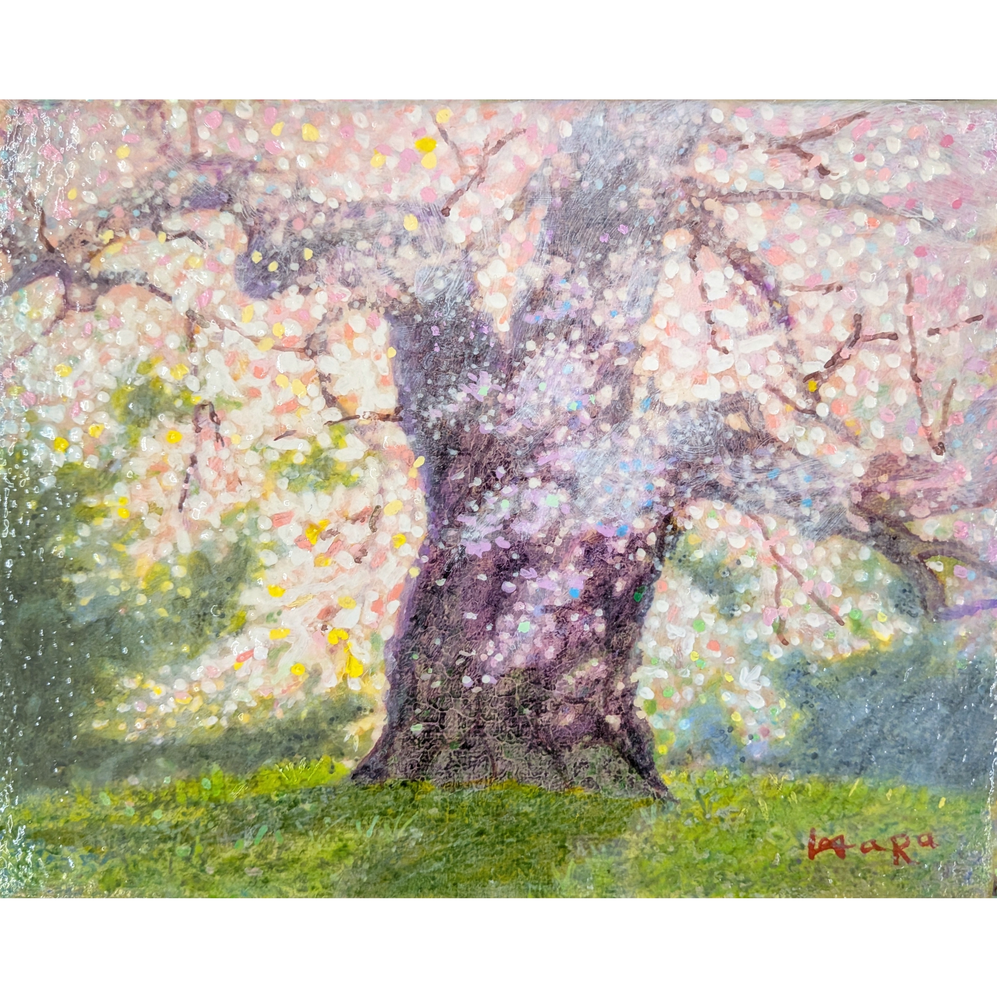 春うらら(醍醐桜)