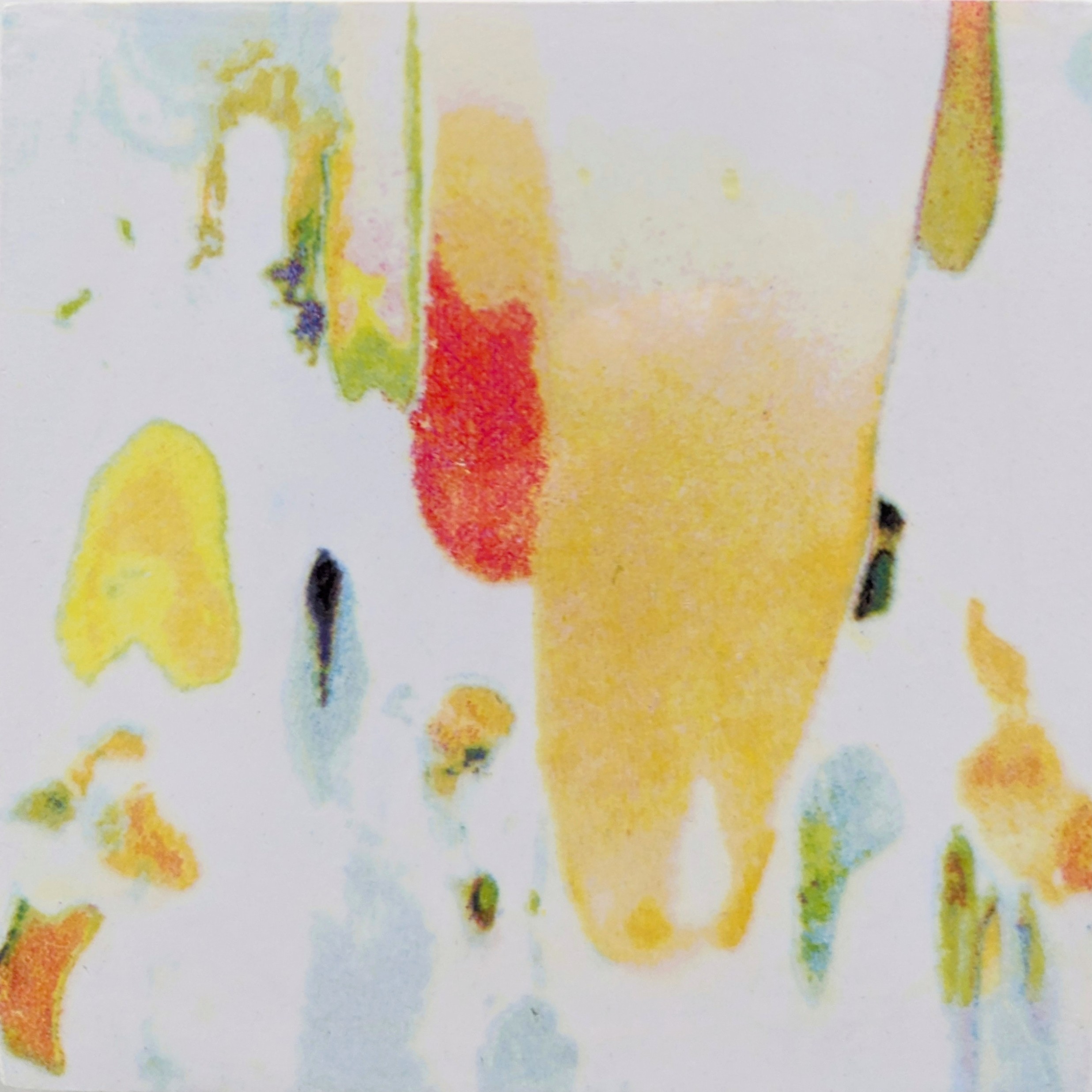 あふれ出る生命