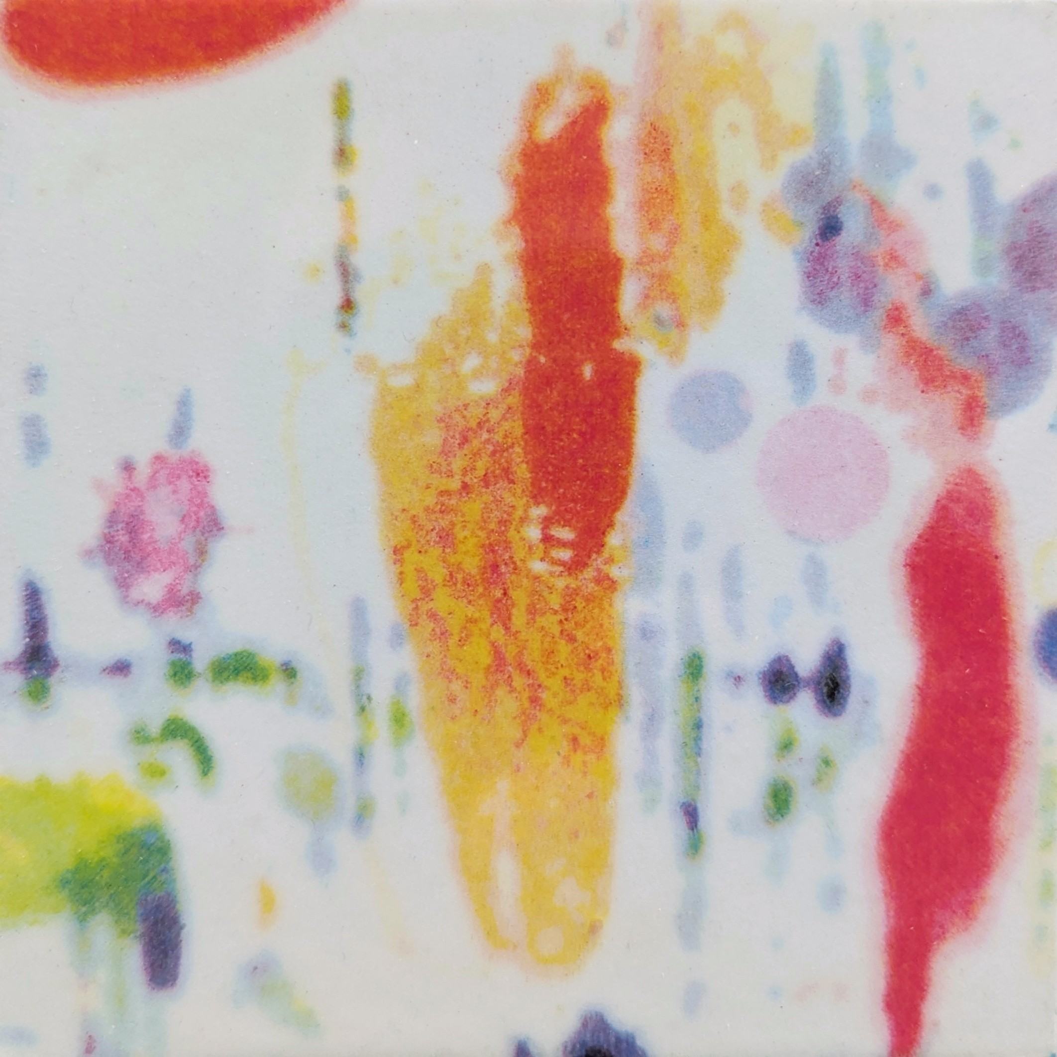 フェニックスと呼ばれた果実と復活の泉