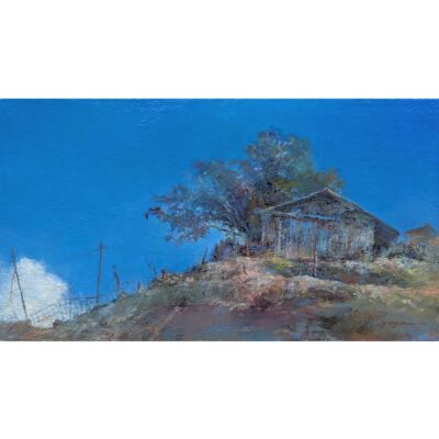 構造線の小屋（つるぎ町貞光）