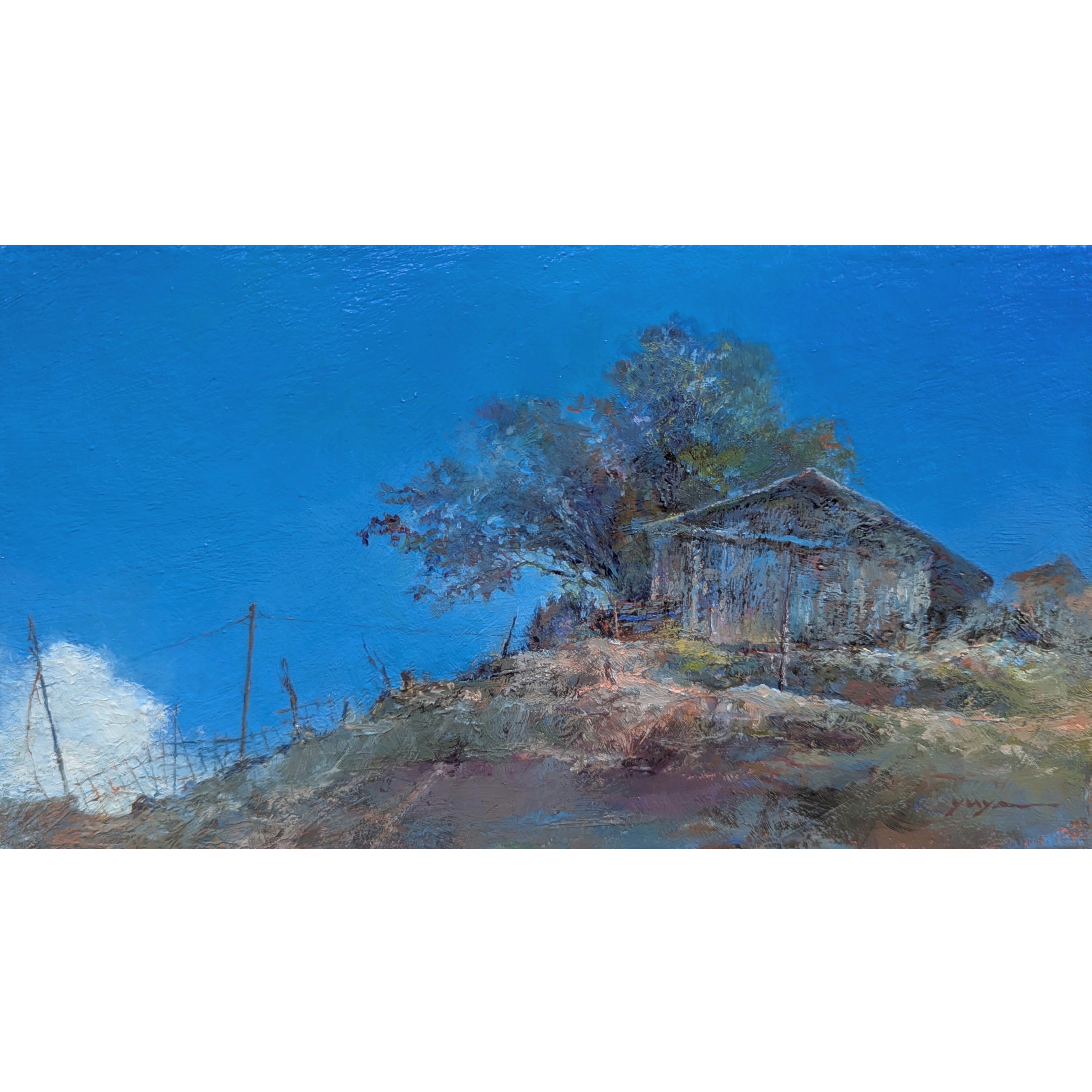 構造線の小屋(つるぎ町貞光)