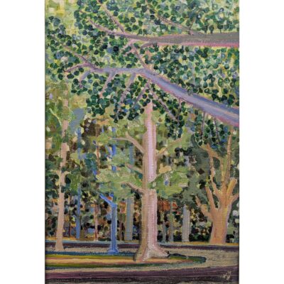 日吉のイチョウ並木