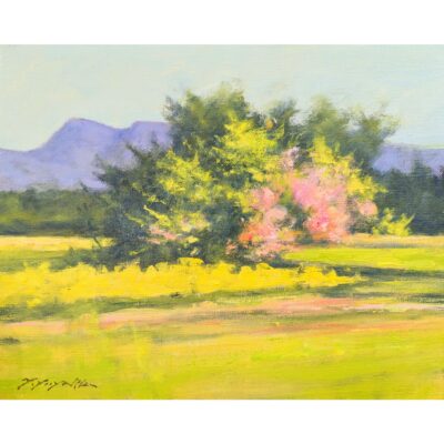 菜の花の咲く頃