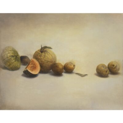 黄冬（獅子ゆずとカリン）