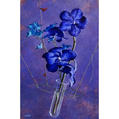 Blue Vanda