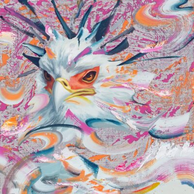 ヘビクイワシ No.3