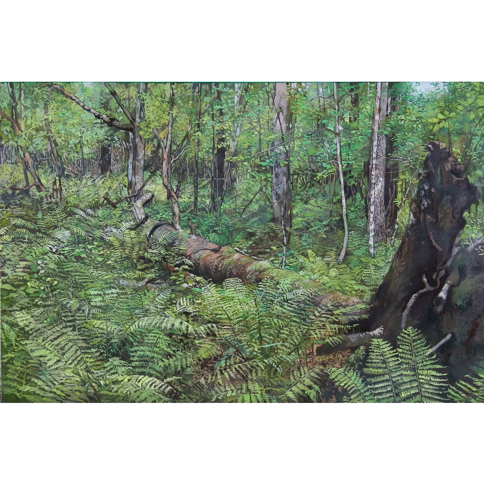 深い森-支笏湖-