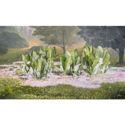 水芭蕉