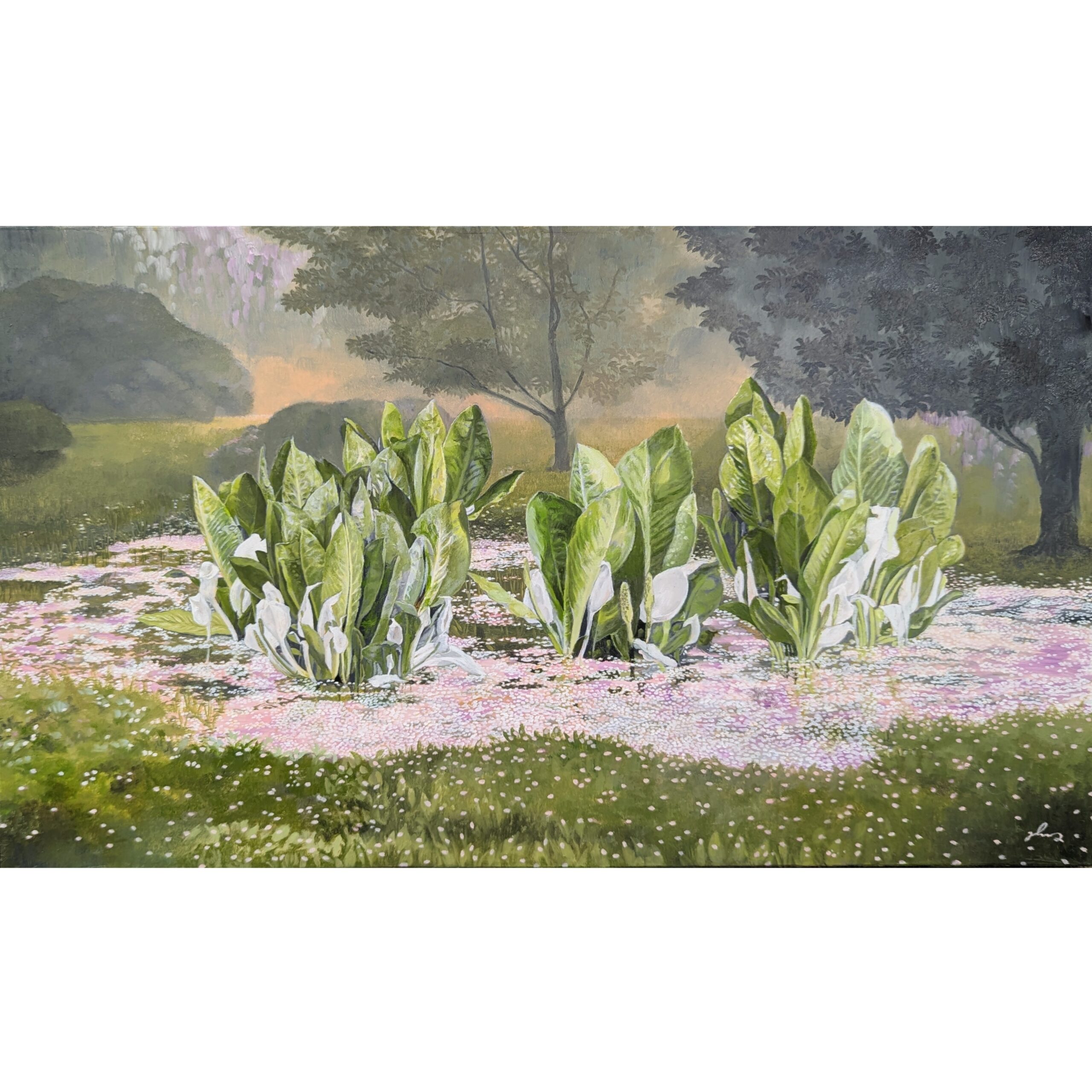 水芭蕉