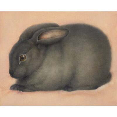 黒うさぎ