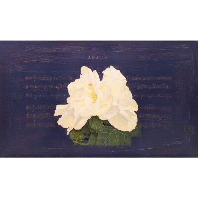 アダージョ（酔芙蓉）